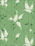 Wisteria wallpaper in sage leaf green color - pattern number 115/5016.CS.0 - by Cole and Son in the Botanical Botanica collection