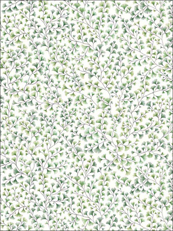 Maidenhair wallpaper in olive color - pattern number 115/6018.CS.0 - by Cole and Son in the Botanical Botanica collection