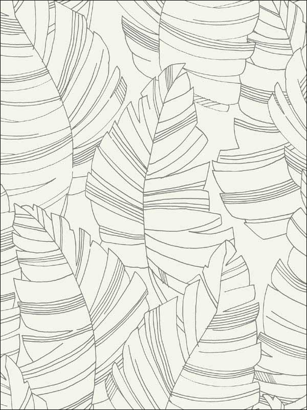 Jungle Leaves wallpaper in charcoal color - pattern number DA61400 - by Seabrook in the Day Dreamers collection