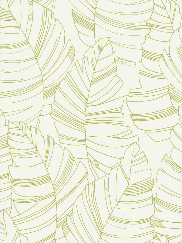 Jungle Leaves wallpaper in green apple color - pattern number DA61404 - by Seabrook in the Day Dreamers collection