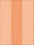 Stripes wallpaper in orange color - pattern number DA61813 - by Seabrook in the Day Dreamers collection