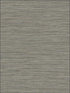 Grasslands fabric in charcoal color - pattern number BV30100 - by Seabrook in the Texture Gallery collection