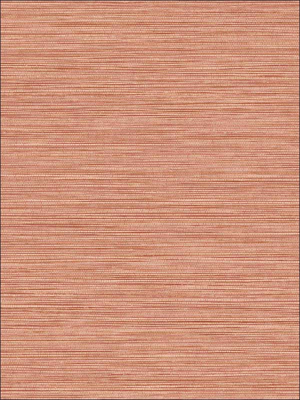 Grasslands fabric in salmon color - pattern number BV30101 - by Seabrook in the Texture Gallery collection