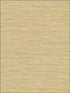 Grasslands fabric in sandy shores color - pattern number BV30103 - by Seabrook in the Texture Gallery collection