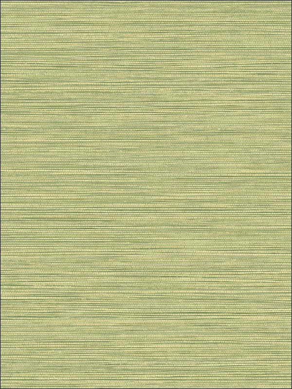 Grasslands fabric in lime moss color - pattern number BV30104 - by Seabrook in the Texture Gallery collection