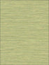 Grasslands fabric in lime moss color - pattern number BV30104 - by Seabrook in the Texture Gallery collection