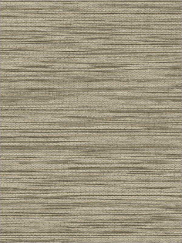 Grasslands fabric in warm stone color - pattern number BV30106 - by Seabrook in the Texture Gallery collection