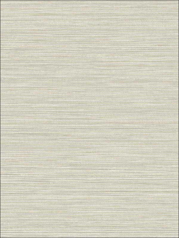Grasslands fabric in heather gray color - pattern number BV30107 - by Seabrook in the Texture Gallery collection