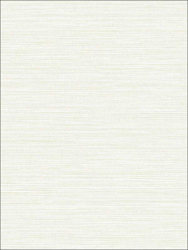 Grasslands fabric in bone white color - pattern number BV30110 - by Seabrook in the Texture Gallery collection