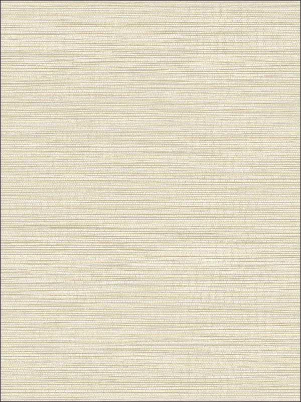 Grasslands fabric in alabaster color - pattern number BV30115 - by Seabrook in the Texture Gallery collection