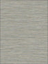 Grasslands fabric in graphite color - pattern number BV30118 - by Seabrook in the Texture Gallery collection