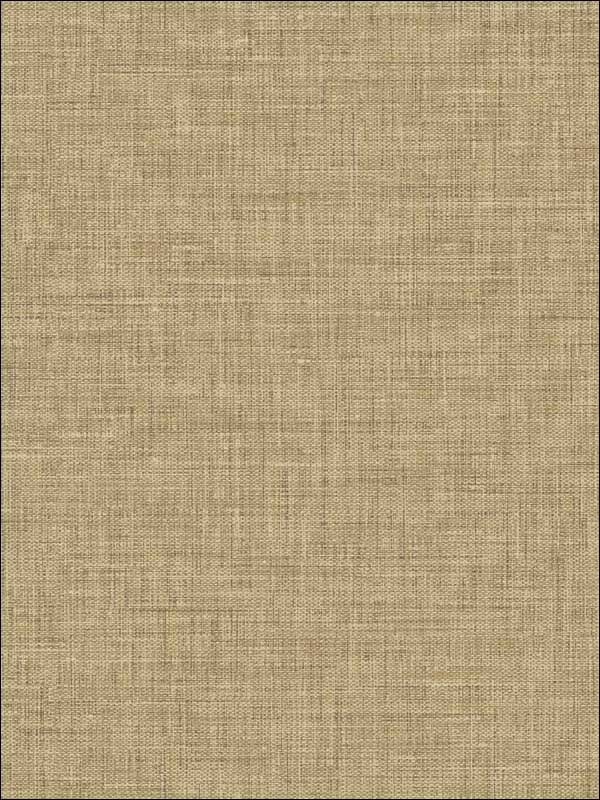 Easy Linen fabric in driftwood color - pattern number BV30216 - by Seabrook in the Texture Gallery collection