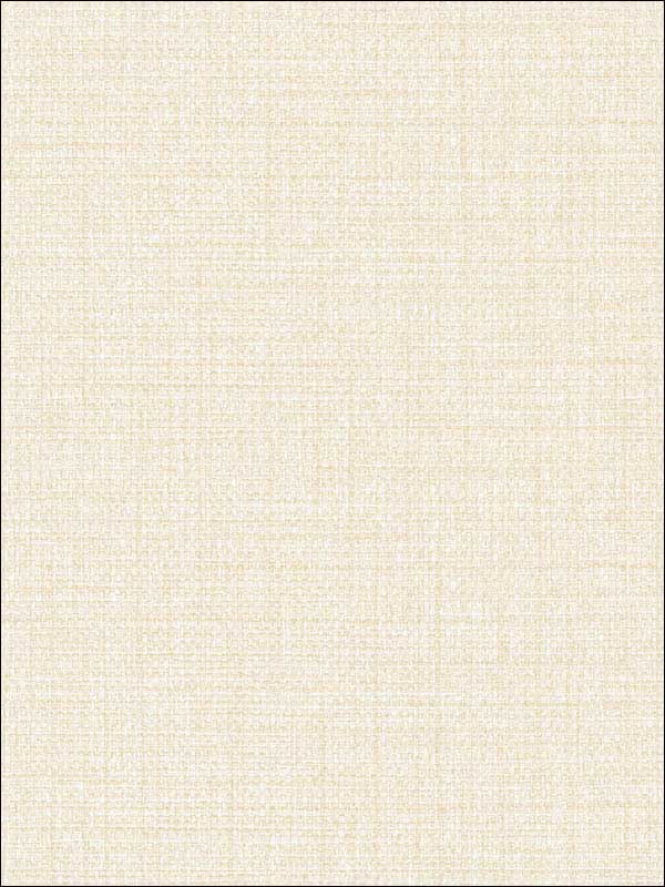 Woven Raffia wallpaper in ivory color - pattern number BV30305 - by Seabrook in the Texture Gallery collection