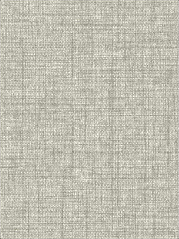 Woven Raffia wallpaper in mindful gray color - pattern number BV30308 - by Seabrook in the Texture Gallery collection