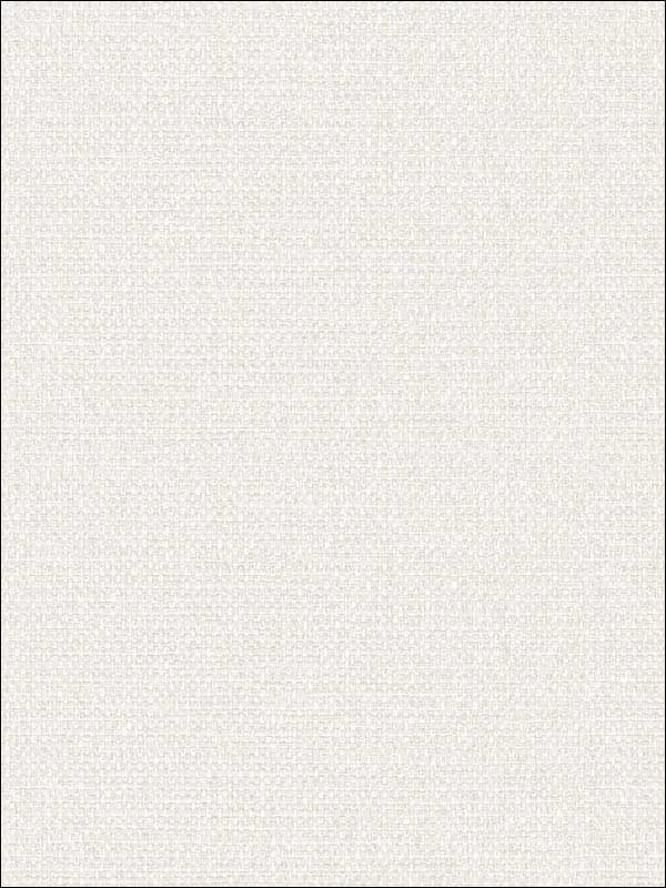Woven Raffia wallpaper in bone white color - pattern number BV30310 - by Seabrook in the Texture Gallery collection