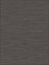 Coastal Hemp fabric in black pepper color - pattern number BV30400 - by Seabrook in the Texture Gallery collection