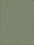 Coastal Hemp fabric in spruce green color - pattern number BV30404 - by Seabrook in the Texture Gallery collection
