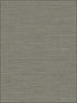 Coastal Hemp fabric in graphite color - pattern number BV30410 - by Seabrook in the Texture Gallery collection