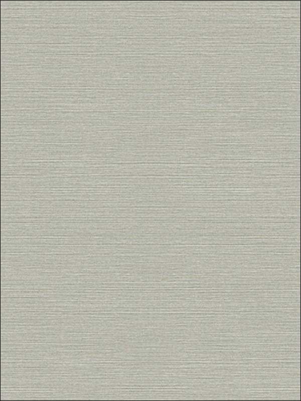 Coastal Hemp fabric in downtown color - pattern number BV30418 - by Seabrook in the Texture Gallery collection