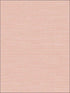 Coastal Hemp fabric in tangerine color - pattern number BV30421 - by Seabrook in the Texture Gallery collection
