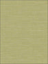 Coastal Hemp fabric in lime moss color - pattern number BV30424 - by Seabrook in the Texture Gallery collection