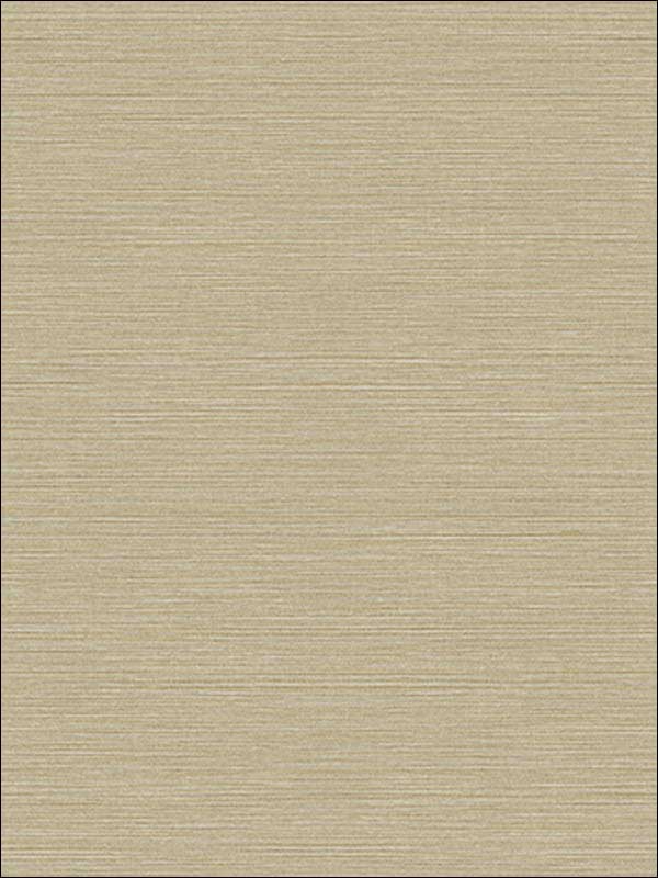 Coastal Hemp fabric in sandstone color - pattern number BV30425 - by Seabrook in the Texture Gallery collection