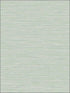 Coastal Hemp fabric in tender green color - pattern number BV30444 - by Seabrook in the Texture Gallery collection