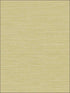 Coastal Hemp fabric in aloe color - pattern number BV30454 - by Seabrook in the Texture Gallery collection