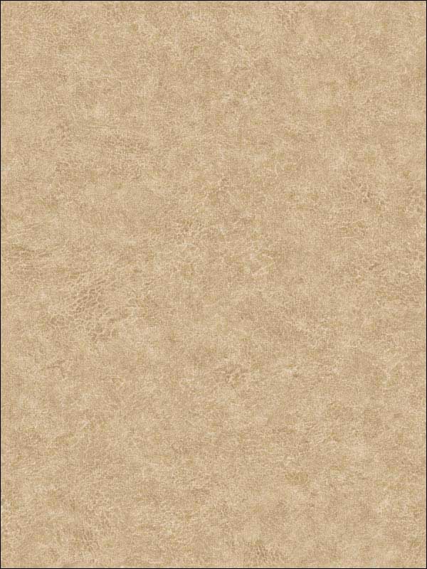 Roma Leather fabric in soft maple color - pattern number BV30605 - by Seabrook in the Texture Gallery collection