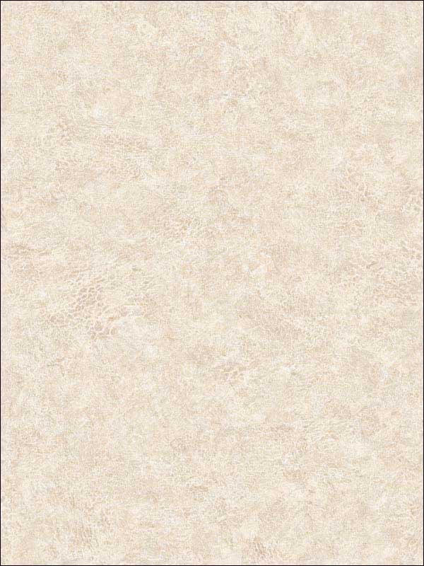 Roma Leather fabric in buff color - pattern number BV30615 - by Seabrook in the Texture Gallery collection