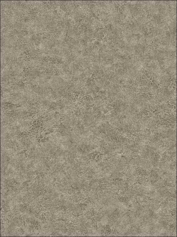 Roma Leather fabric in smokey color - pattern number BV30608 - by Seabrook in the Texture Gallery collection