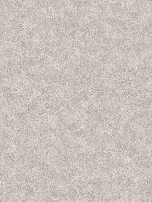 Roma Leather fabric in balanced color - pattern number BV30628 - by Seabrook in the Texture Gallery collection
