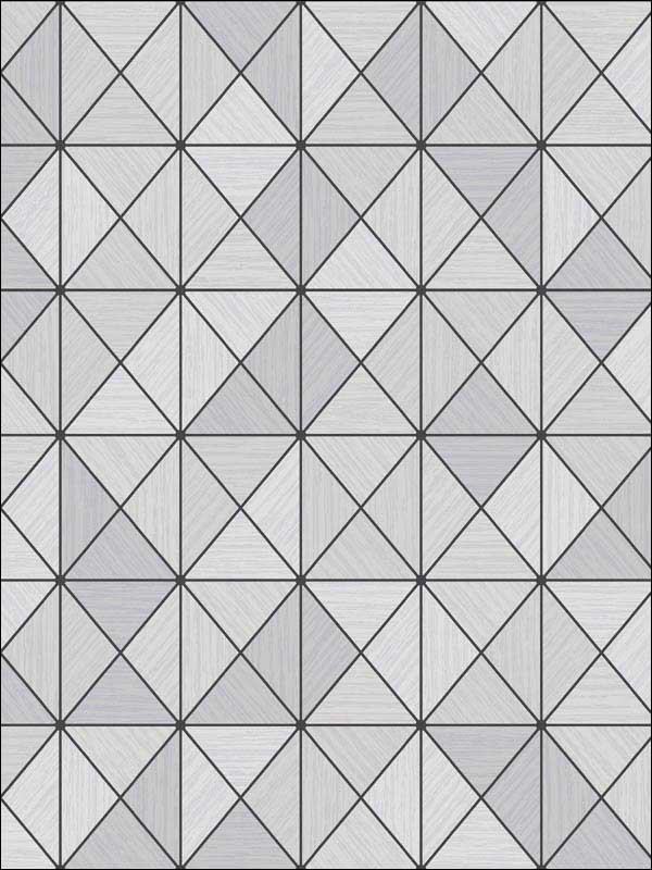 Metallic Geo fabric in metallic silver and ebony color - pattern number AW70620 - by Collins and Company in the Casa Blanca 2 collection