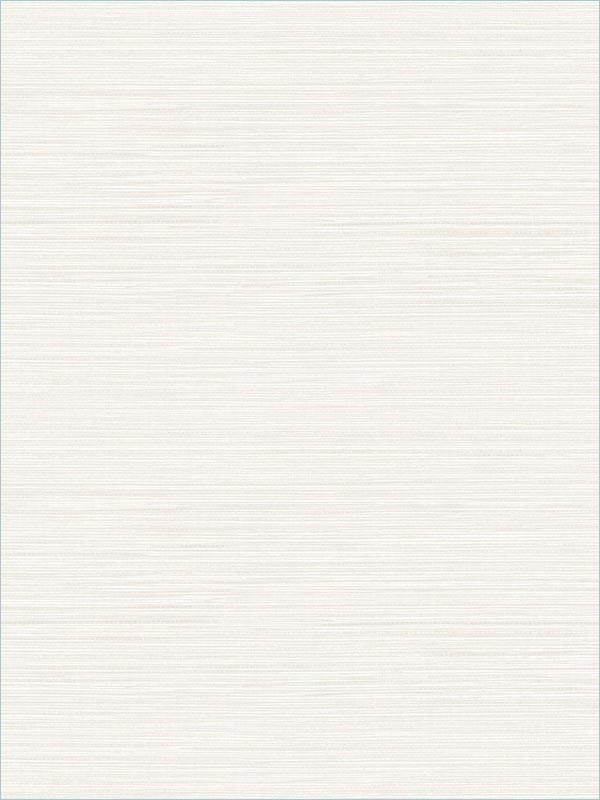 Vinyl Grasscloth fabric in ivory color - pattern number AW74503 - by Collins and Company in the Casa Blanca 2 collection
