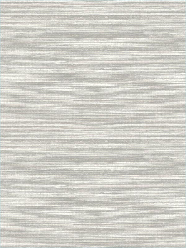 Vinyl Grasscloth fabric in light gray color - pattern number AW74520 - by Collins and Company in the Casa Blanca 2 collection
