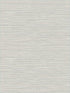 Vinyl Grasscloth fabric in light gray color - pattern number AW74520 - by Collins and Company in the Casa Blanca 2 collection