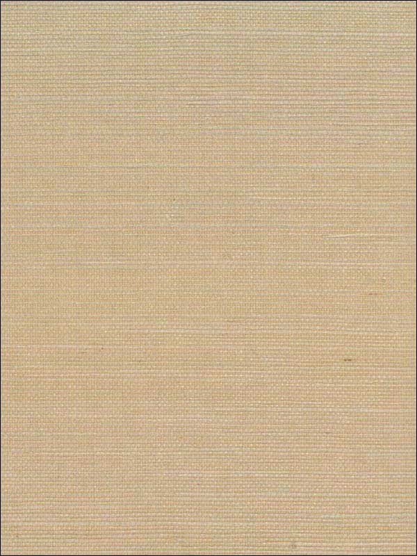 Sisal wallpaper in neutrals color - pattern number NA219 - by Collins and Company in the Casa Blanca 2 collection