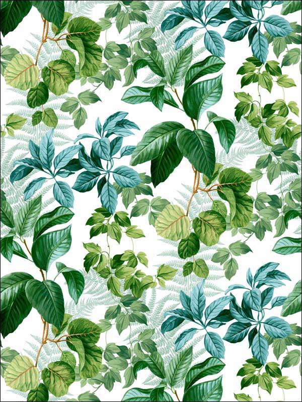 Rainforest Leaves Peel and Stick wallpaper in green color - pattern number RMK11232WP - by York in the Peel and Stick Wallpaper by York collection