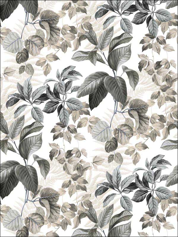Rainforest Leaves Peel and Stick wallpaper in neutral color - pattern number RMK11233WP - by York in the Peel and Stick Wallpaper by York collection