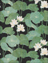 Lily Pads Peel and Stick wallpaper in black color - pattern number RMK11433WP - by York in the Peel and Stick Wallpaper by York collection