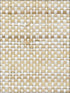 Panama Weave fabric in pearly color - pattern number WNR1118.WT.0 - by Winfield Thybony in the Natural Resources Vol I collection