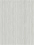 Fil Pose wallpaper in silver color - pattern number RM90808 - by Casa Mia in the Graphite collection