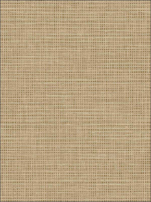 Grasscloth Effect wallpaper in gold brown color - pattern number RM90905 - by Casa Mia in the Graphite collection