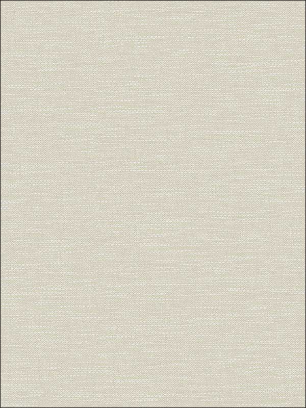 Textile Texture fabric in soft grey color - pattern number RM80205 - by Casa Mia in the Quartz collection