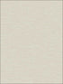 Textile Texture fabric in soft grey color - pattern number RM80205 - by Casa Mia in the Quartz collection