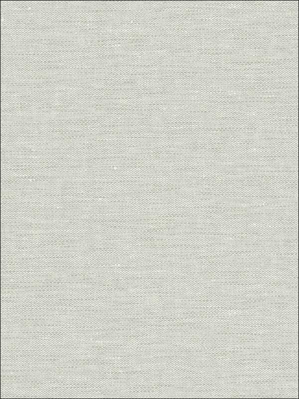 Textile Texture fabric in grey white color - pattern number RM80208 - by Casa Mia in the Quartz collection