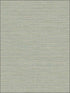 Grasscloth Effect fabric in soft green color - pattern number RM80514 - by Casa Mia in the Quartz collection