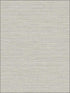 Grasscloth Effect fabric in grey color - pattern number RM80518 - by Casa Mia in the Quartz collection