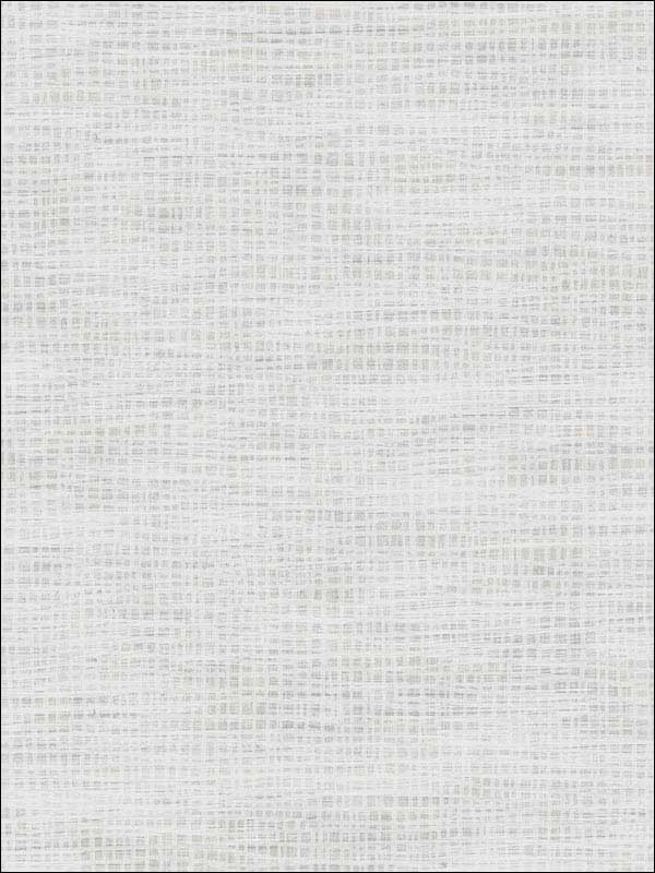 Woven Texture fabric in soft grey color - pattern number RM70309 - by Casa Mia in the Zircon collection