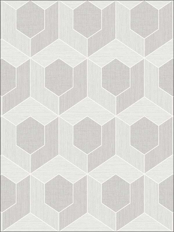 3D Hexagon fabric in soft grey color - pattern number RM70407 - by Casa Mia in the Zircon collection